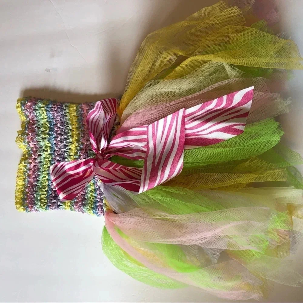 Girl Tutu dress size 2T